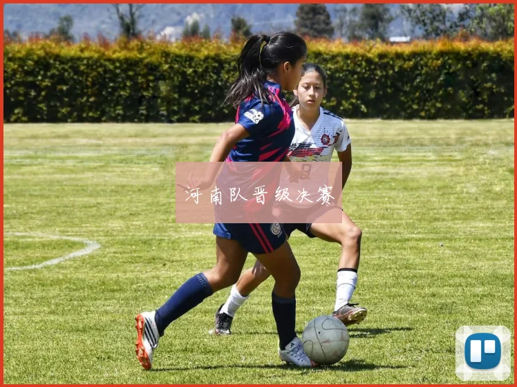 河南队晋级决赛