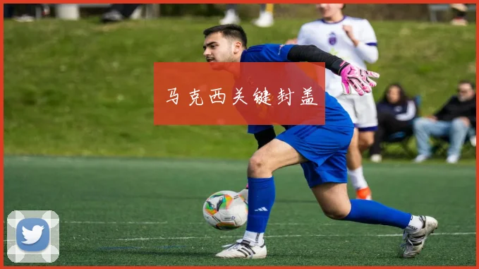马克西关键封盖