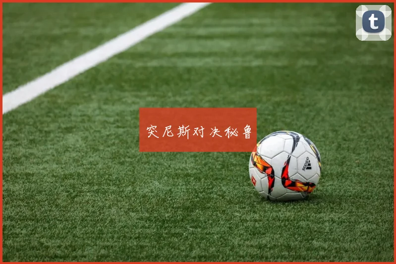 突尼斯对决秘鲁