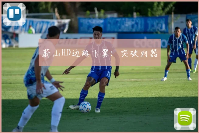 蔚山HD边路飞翼：突破利器