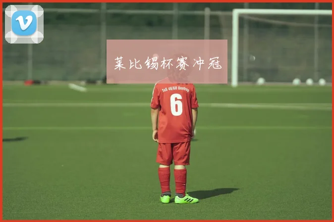 莱比锡杯赛冲冠
