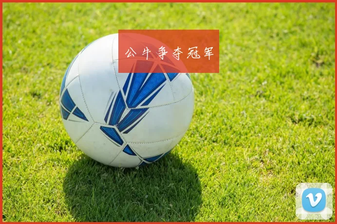 公牛争夺冠军