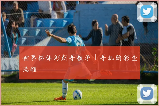 世界杯体彩新手教学｜手机购彩全流程
