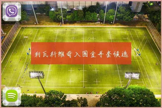 利瓦科维奇入围金手套候选