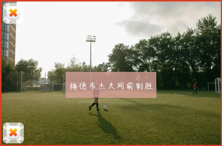 梅德韦杰夫网前制胜