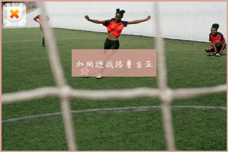 加纳迎战格鲁吉亚