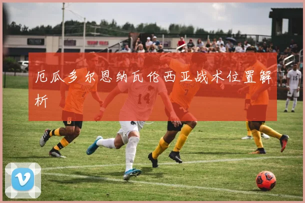 厄瓜多尔恩纳瓦伦西亚战术位置解析