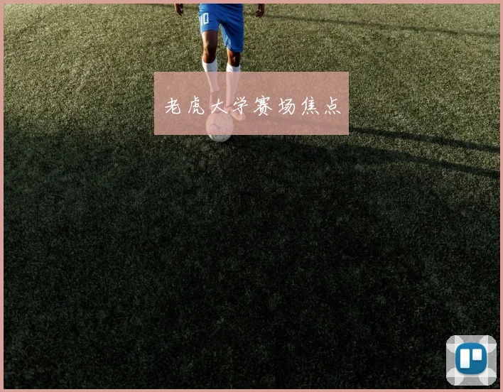 老虎大学赛场焦点