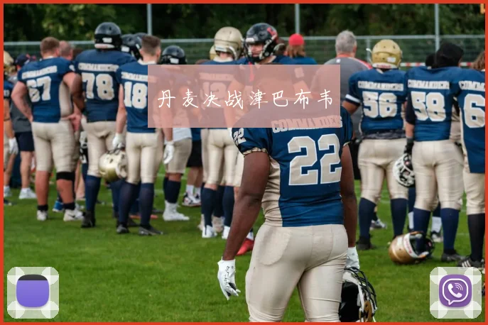 丹麦决战津巴布韦
