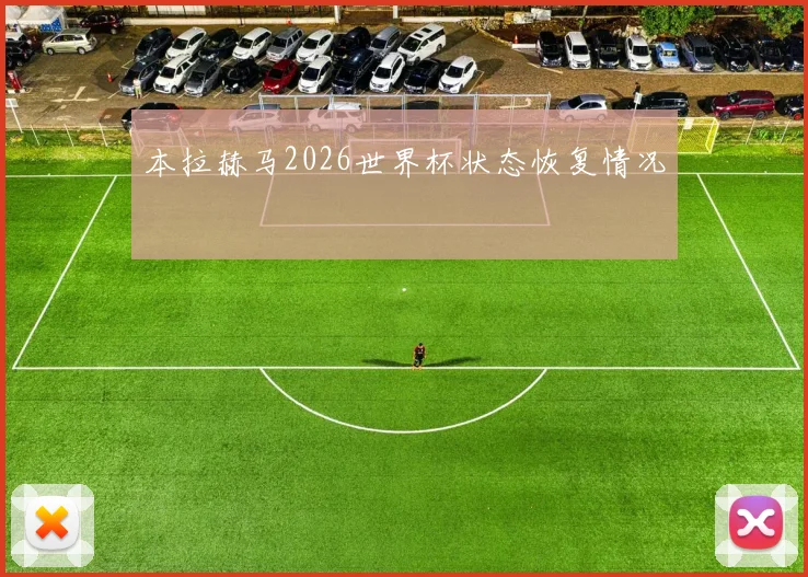 本拉赫马2026世界杯状态恢复情况