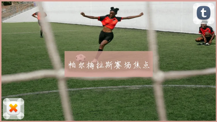 帕尔梅拉斯赛场焦点