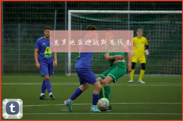 克罗地亚迎战斯洛伐克