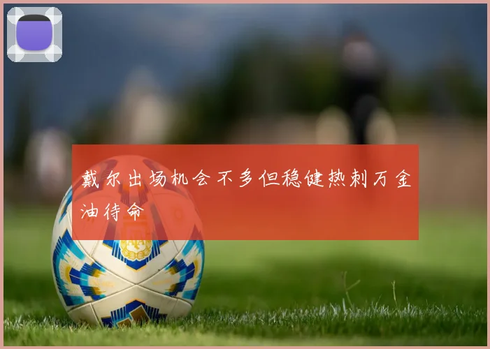 戴尔出场机会不多但稳健热刺万金油待命