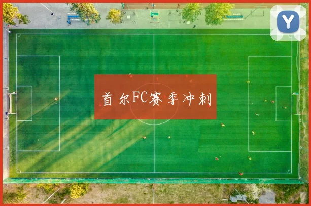 首尔FC赛季冲刺