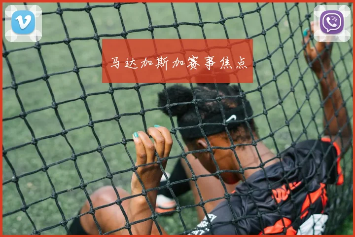 马达加斯加赛事焦点