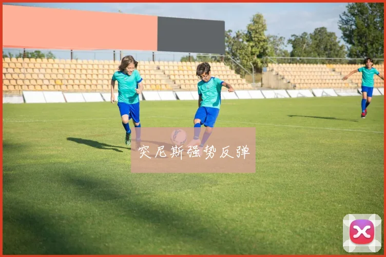 突尼斯强势反弹