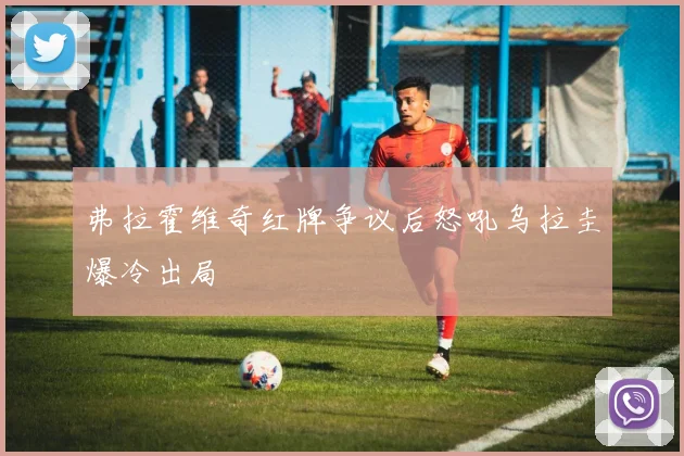 弗拉霍维奇红牌争议后怒吼乌拉圭爆冷出局