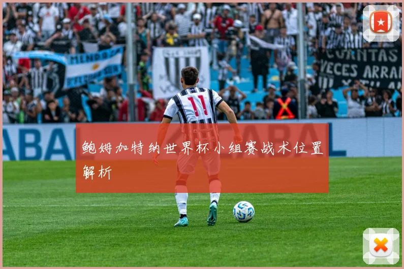 鲍姆加特纳世界杯小组赛战术位置解析