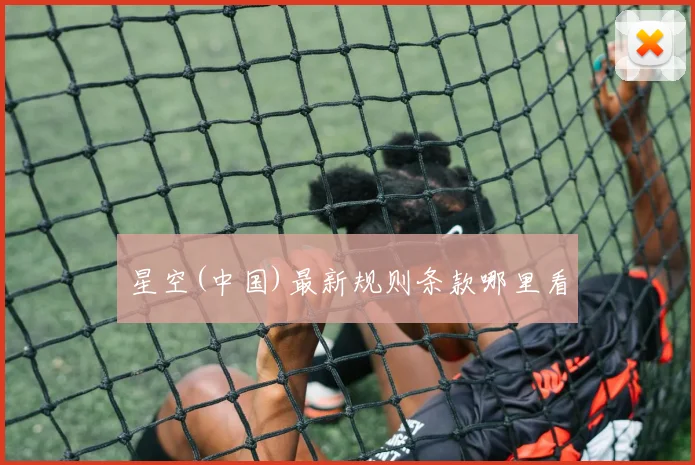 星空(中国)最新规则条款哪里看