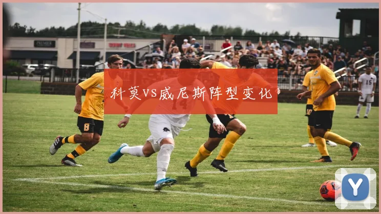 科莫vs威尼斯阵型变化