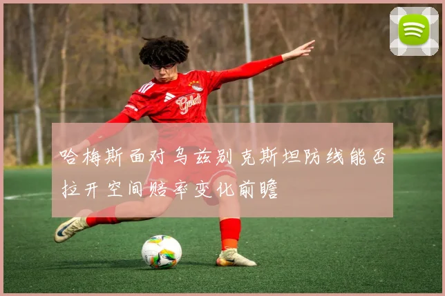 哈梅斯面对乌兹别克斯坦防线能否拉开空间赔率变化前瞻