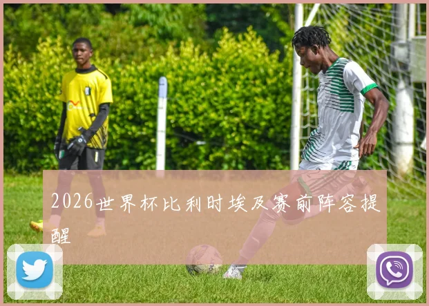 2026世界杯比利时埃及赛前阵容提醒